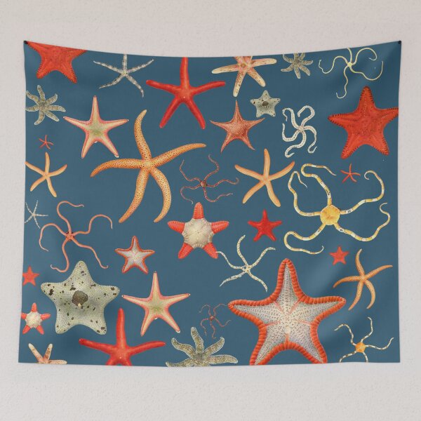 Item preview, The Epoch Collection Australian Starfish Sky from Echinoderms from Australia 1938 NAVY designed and sold by Coastal Garden Design Studio.