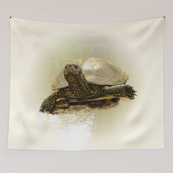 Item preview, Turtle designed and sold by Guardi71.