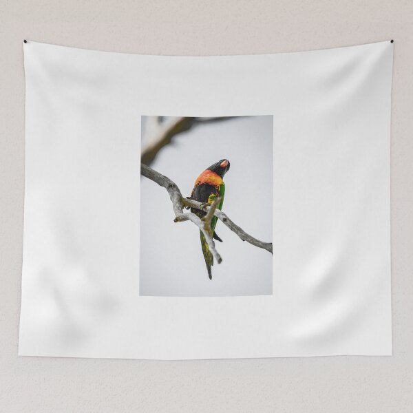 Item preview, Lorikeet designed and sold by MaxwellsMacros.