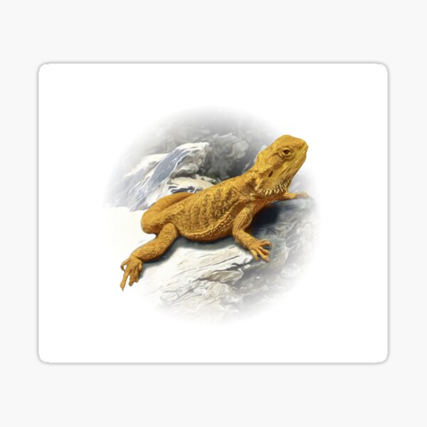 Item preview, Pogona designed and sold by Guardi71.