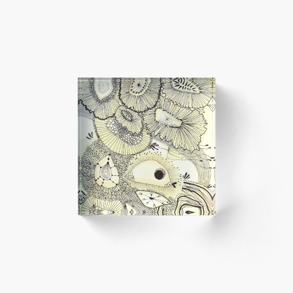 Acrylic Block