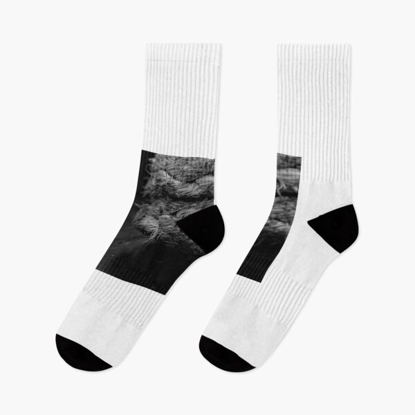 Item preview, The 11th Online Photo Exhibition"#6 Bound by Time: Monochrome Threads by PHOTOANWORLD" https://buly.kr/4Fp4Y3p designed and sold by PHOTOANWORLD.