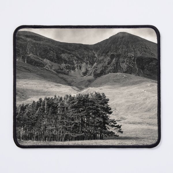 Item preview, Torridon Trees designed and sold by David Bowman.