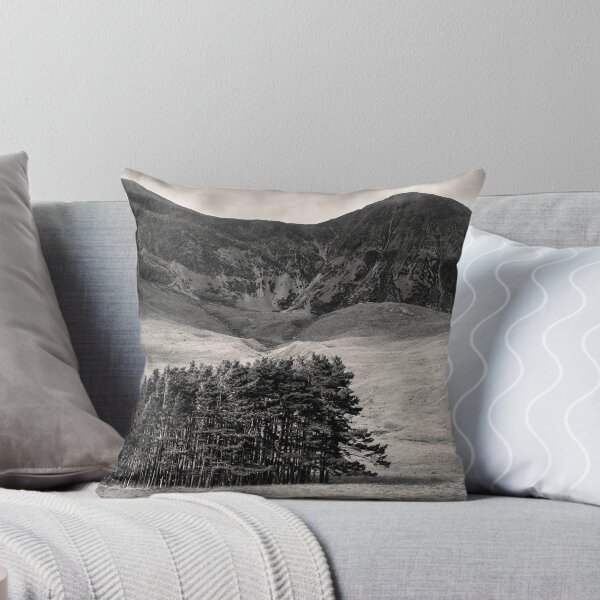 Item preview, Torridon Trees designed and sold by David Bowman.