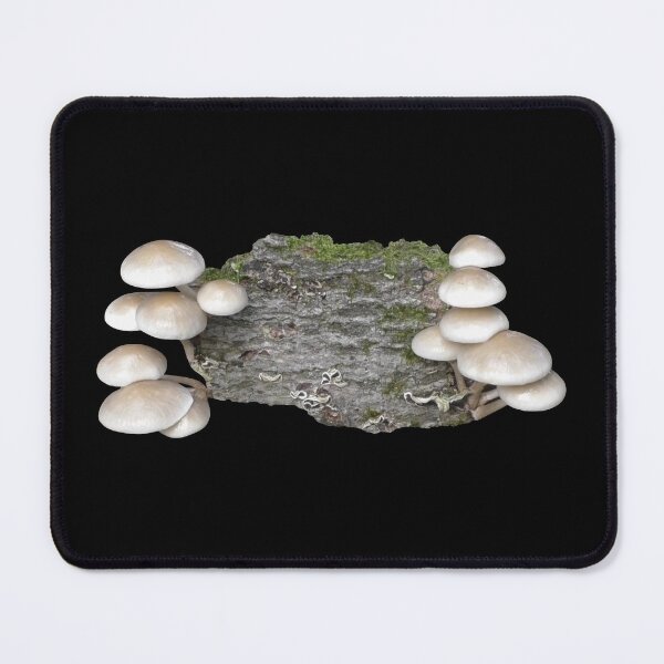 Item preview, Porcelain Fungus designed and sold by oksbprint.