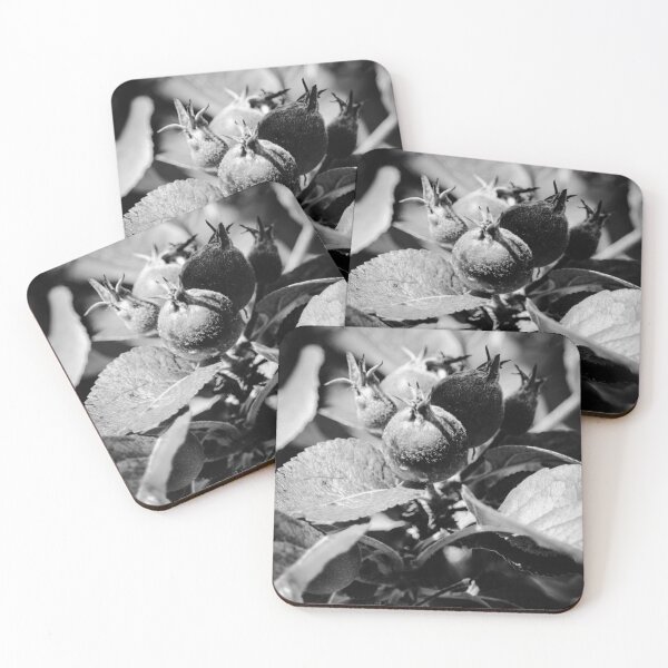 Item preview, Garden Buds Flower Rathmullan bw Vert designed and sold by eddiebarronshop.