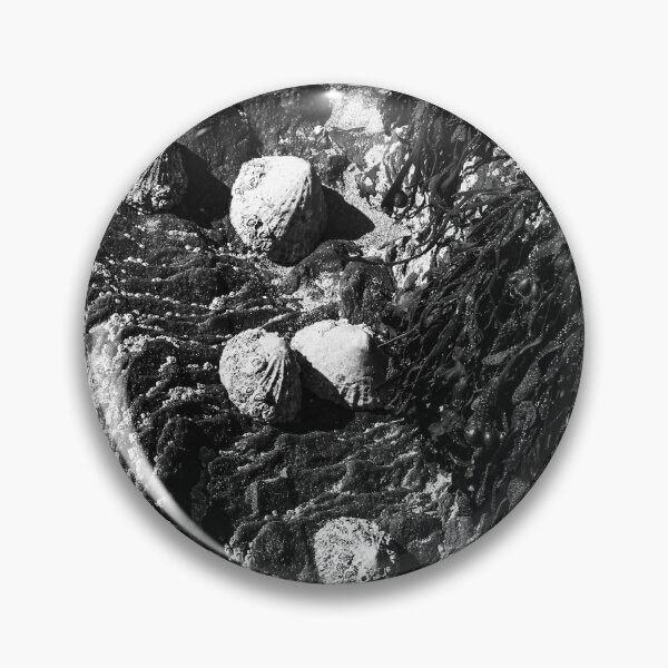 Item preview, Limpets on Beach Rock Rathmullan bw Vert designed and sold by eddiebarronshop.