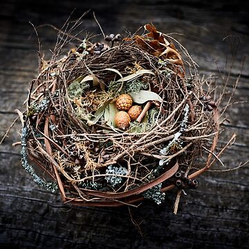 Artwork thumbnail, Zora's Nest - Bird Nest Sculpture by ZoraVerona