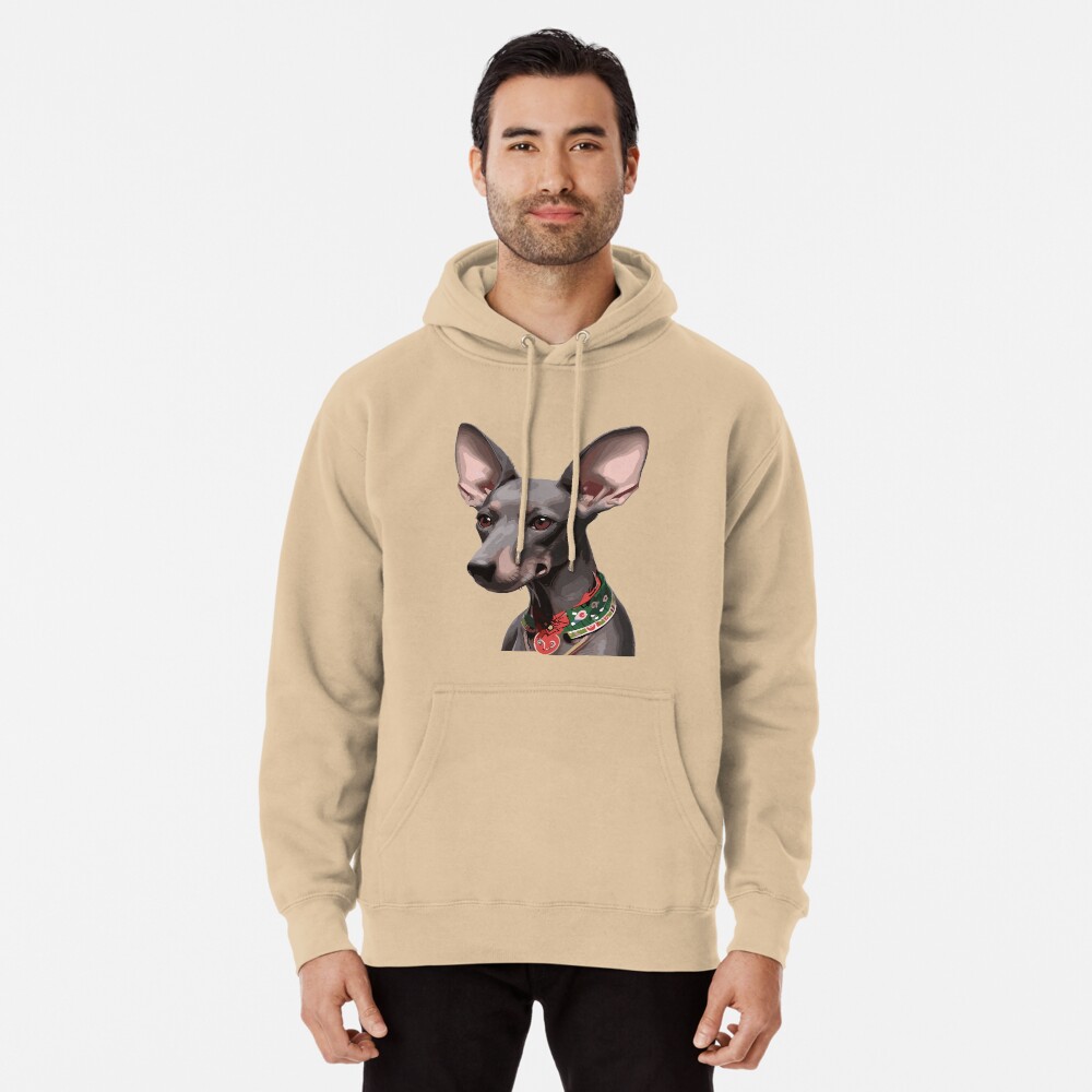 Vista previa del artículo con la obra «Sudadera con capucha», diseñado y vendido por bihtti.