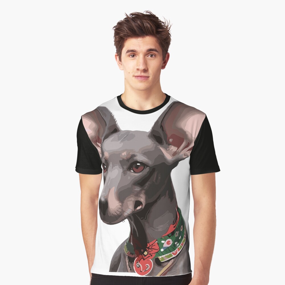 Vista previa del artículo con la obra «Camiseta gráfica», diseñado y vendido por bihtti.