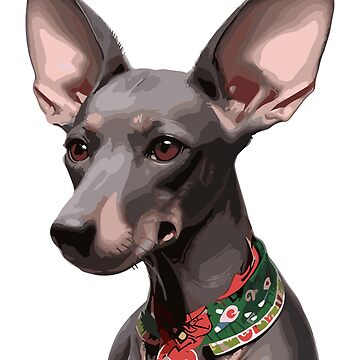 Imagen de la obra Perro Xolo de bihtti