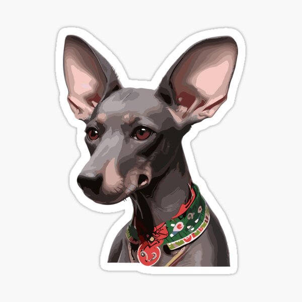 Item preview, Perro Xolo designed and sold by bihtti.