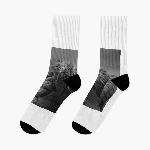 Item preview, The 11th Online Photo Exhibition"#7 Bound by Time: Monochrome Threads by PHOTOANWORLD" https://buly.kr/4Fp4Y3p designed and sold by PHOTOANWORLD.