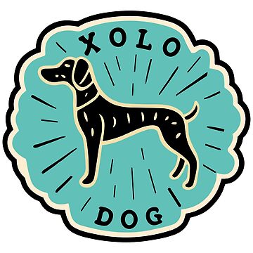 Imagen de la obra Perro Xolo de bihtti