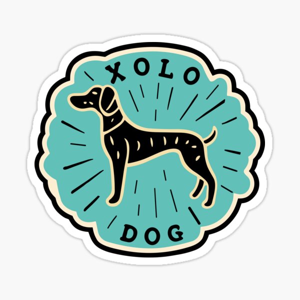 Item preview, Perro Xolo designed and sold by bihtti.
