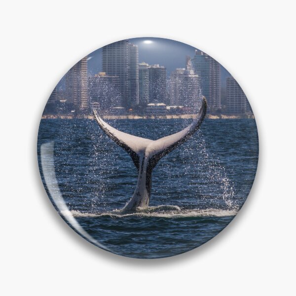 Item preview, Humpback Whale Tail Slapping off Surfers Paradise designed and sold by seaearthandsky.