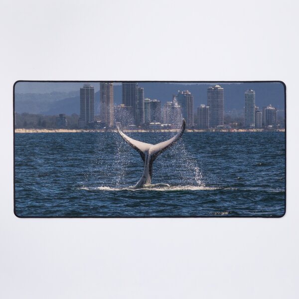 Item preview, Humpback Whale Tail Slapping off Surfers Paradise designed and sold by seaearthandsky.