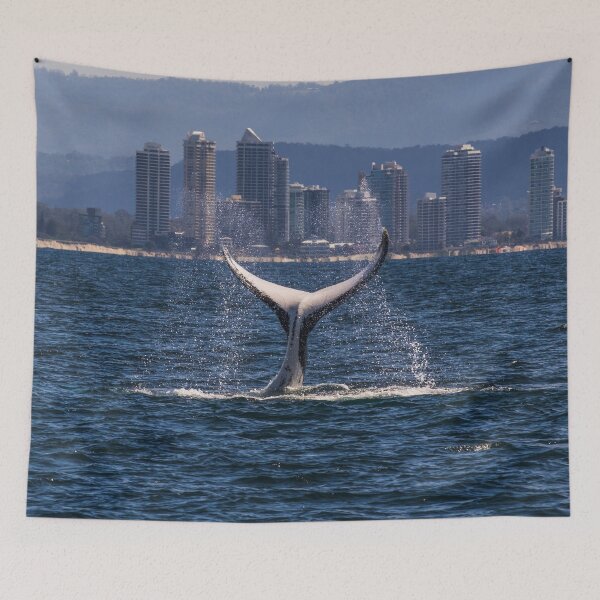 Item preview, Humpback Whale Tail Slapping off Surfers Paradise designed and sold by seaearthandsky.