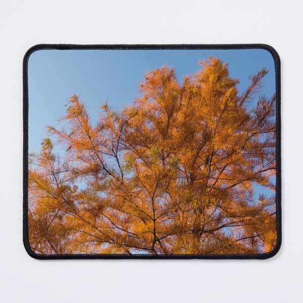 Item preview, Autumnal Tamarack Treetop in Rich Orange designed and sold by Georgia Mizuleva.
