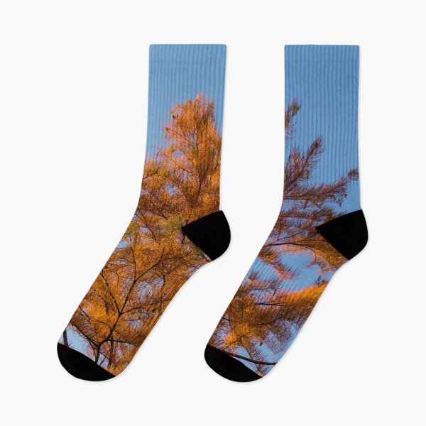 Item preview, Autumnal Tamarack Treetop in Rich Orange designed and sold by Georgia Mizuleva.