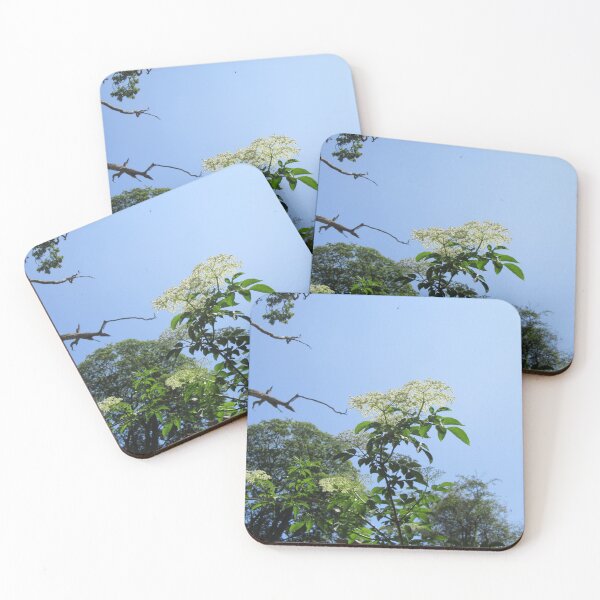 Item preview, Elderflower - Sambucus designed and sold by lezvee.