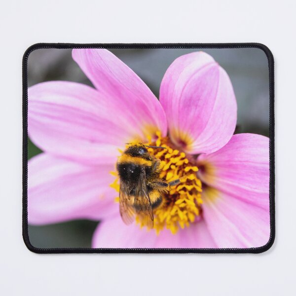 Item preview, Beautiful Bee In Autumn designed and sold by Tanya C  Smith.