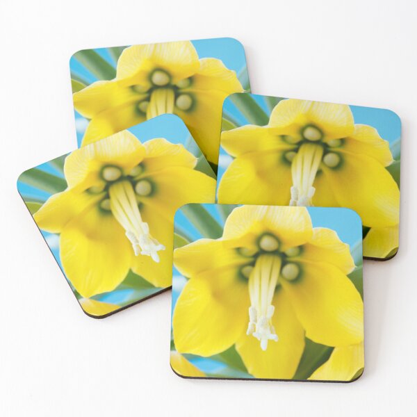 Item preview, Fritillaria imperialis  'Maxima Lutea'  AGM  Crown imperial   designed and sold by Chris Burrows.