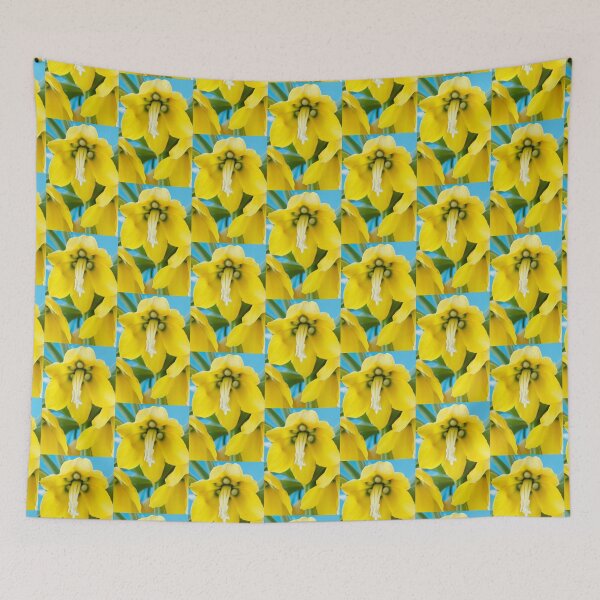 Item preview, Fritillaria imperialis  'Maxima Lutea'  AGM  Crown imperial   designed and sold by Chris Burrows.