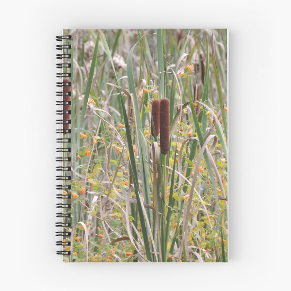 Item preview, Cattails at the lake designed and sold by Jmb67.