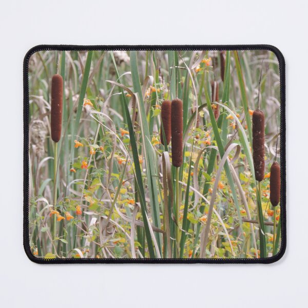 Item preview, Cattails at the lake designed and sold by Jmb67.
