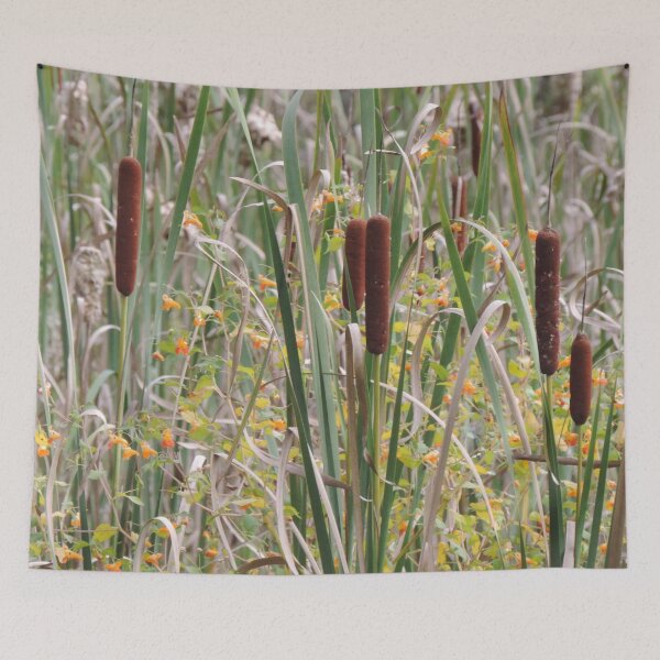 Item preview, Cattails at the lake designed and sold by Jmb67.