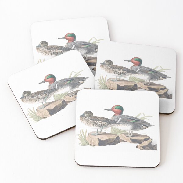 Item preview, American Green Winged Teal Birds Vintage Chromolithograph by Audubon and Havell Sweet Pretty Happy Birdwatching Gift designed and sold by ElegantTeaTime.