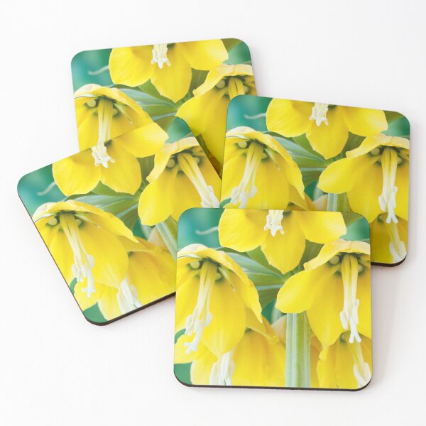 Item preview, Fritillaria imperialis  'Maxima Lutea'  AGM  Crown imperia designed and sold by Chris Burrows.
