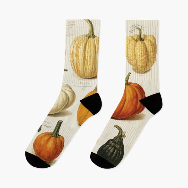 Item preview, Fall harvest Orange Pumpkin Field pumpkin patch botanical illustration designed and sold by OliveAndSnow.