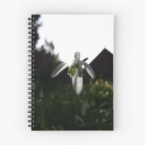 Item preview, Snowdrop (Galanthus) designed and sold by IOMWildFlowers.