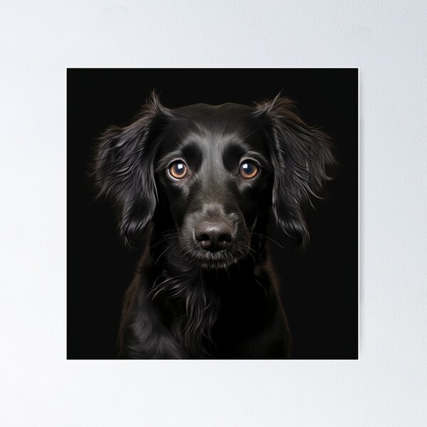 Artikelvorschau, Schwarzer Hund entworfen und verkauft von FireFXStudio.