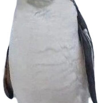 Artwork thumbnail, The Catguin, Cat Penguin by TheOrangeCat
