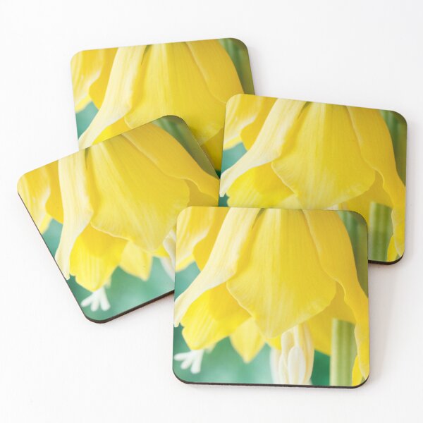Item preview, Fritillaria imperialis  'Maxima Lutea'  AGM  Crown imperia designed and sold by Chris Burrows.