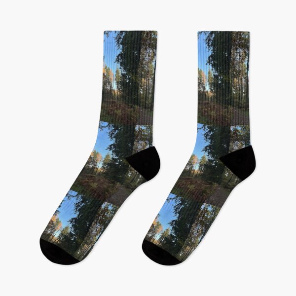 Item preview, UniquelyLaurel, treescape, Forest Of Dean, photograph, tree, canopy,  designed and sold by UniquelyLaurel.