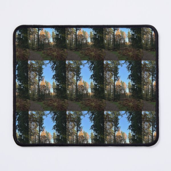 Item preview, UniquelyLaurel, treescape, Forest Of Dean, photograph, tree, canopy, designed and sold by UniquelyLaurel.