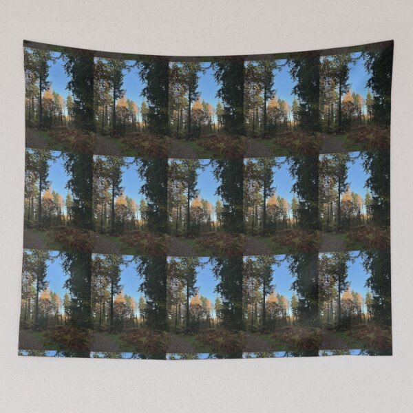 Item preview, UniquelyLaurel, treescape, Forest Of Dean, photograph, tree, canopy,  designed and sold by UniquelyLaurel.