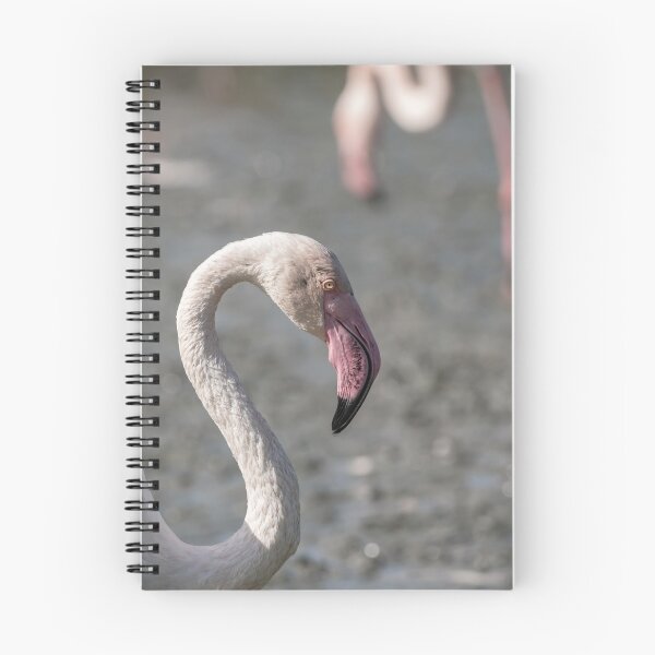 Item preview, Elegant Pink Flamingo Photography designed and sold by DavidGabisPhoto.