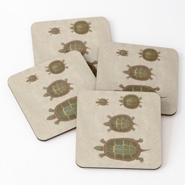 Item preview, Turtle Drawings by Jacques Burkhardt (digitally enhanced) designed and sold by Amanda1775.