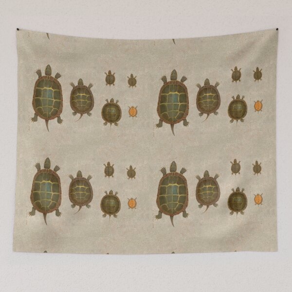 Item preview, Turtle Drawings by Jacques Burkhardt (digitally enhanced) designed and sold by Amanda1775.