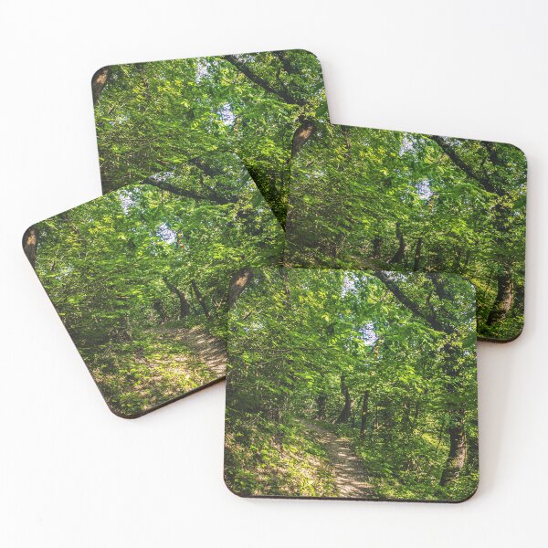 Item preview, Forest designed and sold by VelesPhoto.