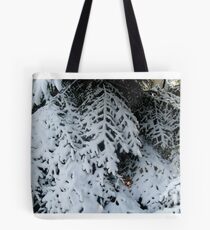 Winter decorations Tote Bag