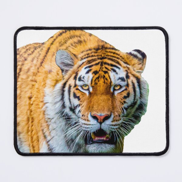 Item preview, Prowling Siberian Tiger  designed and sold by Dalyndigital Photography.