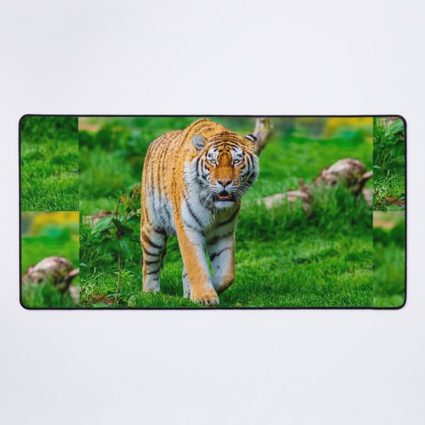 Item preview, Prowling Siberian Tiger  designed and sold by Dalyndigital Photography.