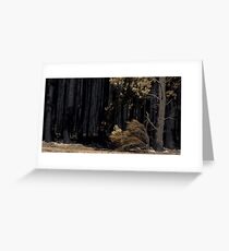 Victorian Bushfires Greeting Card
