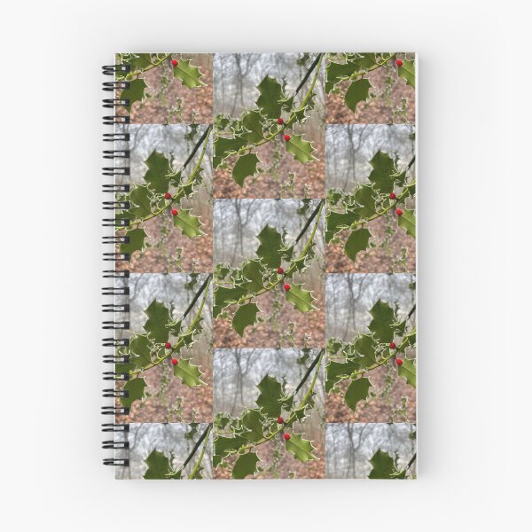 Item preview, UniquelyLaurel, photograph of winter Hollyberries in the Forest of Dean designed and sold by UniquelyLaurel.